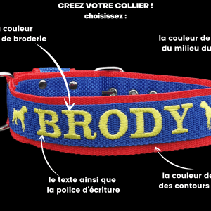 collier pour chien personnalisé